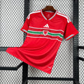2026 Wales Home World Cup Football Jersey