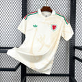 2026 Wales Away World Cup Football Jersey
